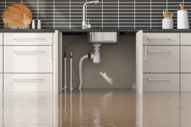 Best Water Damage Insurance Claim Assistance in Granite Falls, MN